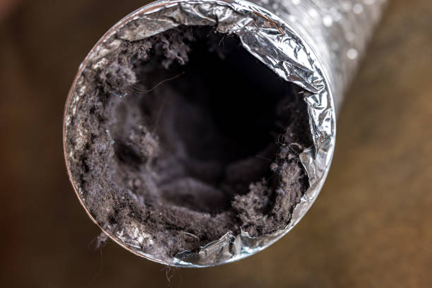 Best Air Duct Cleaning Cost  in Lafayette, TN