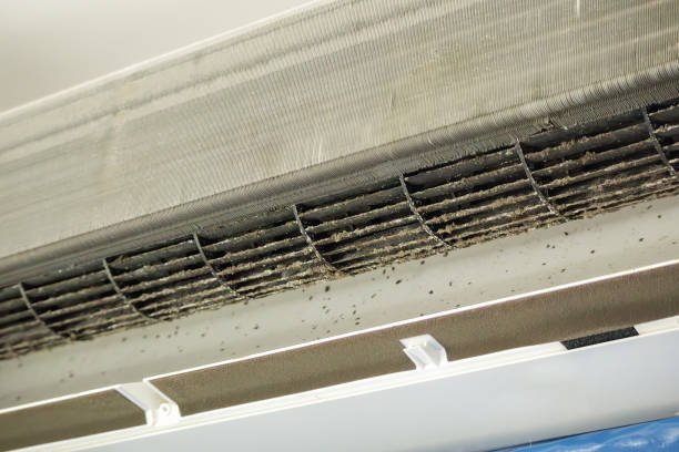Best Air Duct Mold Removal  in Lafayette, TN